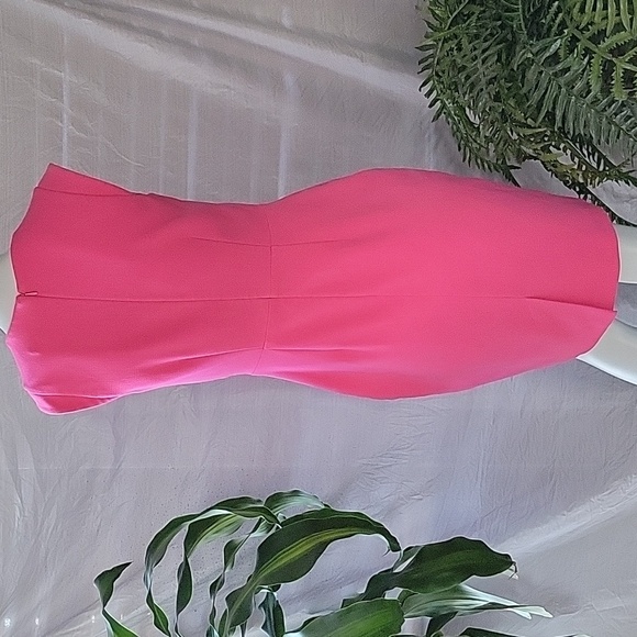 Banana Republic Pink Business Casual Sleeveless Fitted Shift Dress Barbie Sz 2 - Picture 5 of 8